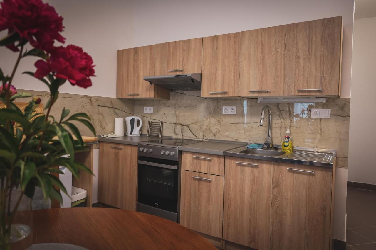 Hotel Apartment Faraon Rumburk Esterno foto